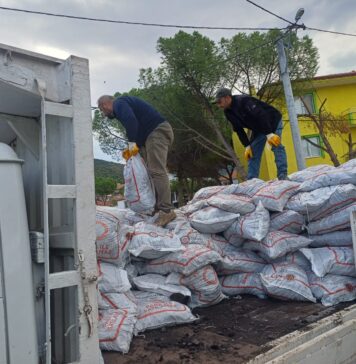 AYVALIK’TA İHTİYAÇ SAHİBİ 1000 AİLEYE KÖMÜR DAĞITIMI SÜRÜYOR